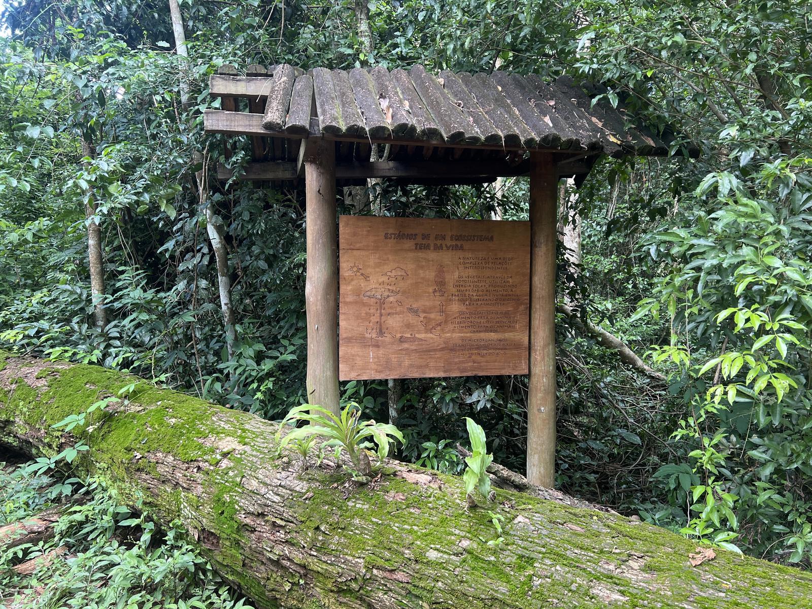 Placa interpretativa de madeira sobre estágios de um ecossistema na Trilha do Jequitibá-Rosa, em Analândia (SP)