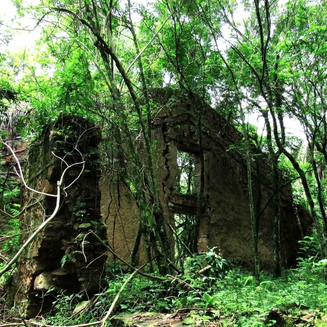 Ruínas da Chaminé em Analândia, com paredes de pedra e tijolos e abertura em arco entre árvores